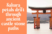 Sunday Mirage Modern Serif Font, a Script Font by timelesstype.co (Thumbnail 6 of 20)