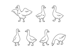 Goose outlines in cartoon style. Set, an Animal Illustration by GraphiShop