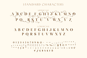 Arienne - Serif Typeface, a Serif Font by Genilson Santos (Thumbnail 11 of 14)