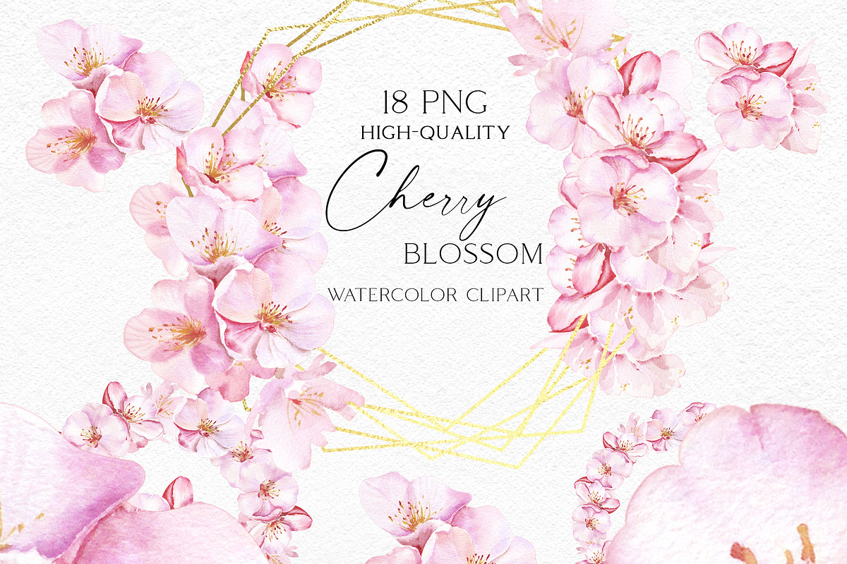 Tender Cherry Blossom, an Illustration by Olga Koelsch (Photo 4 of 8)