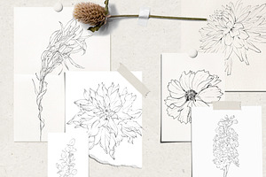 Pencil-drawn Flowers