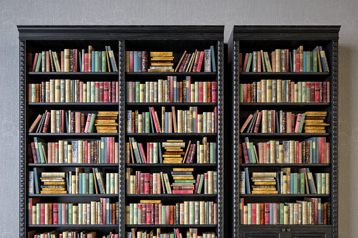 Book shelves, a Furniture 3D Model by anna-archi shop (Photo 3 of 3)