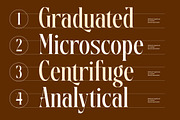 Disriete Modern Serif Display, a Serif Font by AmorfaType (Thumbnail 5 of 11)