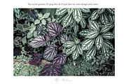 Photo bundle+bonus, a Social Media Template by Una Matison (Thumbnail 16 of 21)