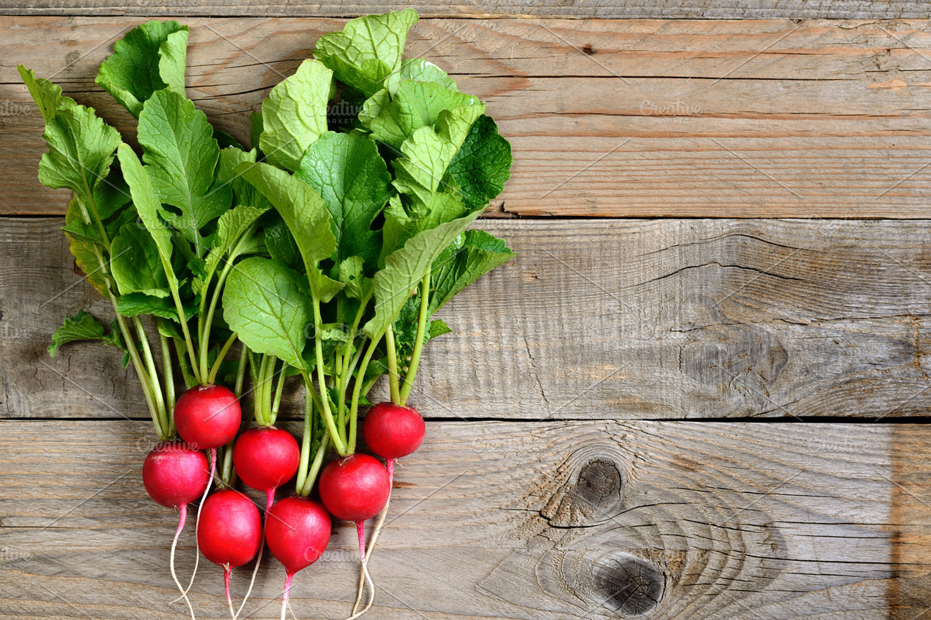 Bunch of radishes containing radishes, vegetable, and green