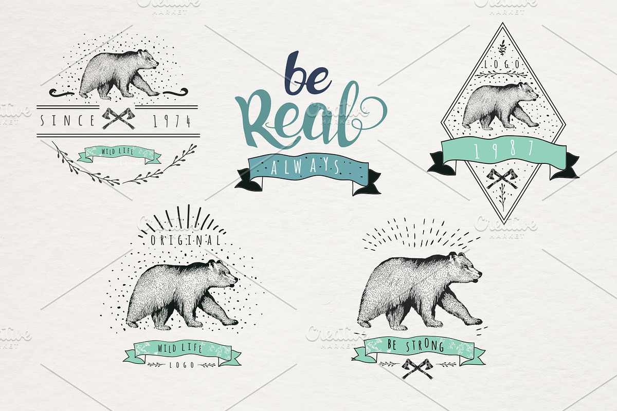 Set of Hand drawn graphic bears, an Animal Illustration by Peace ART