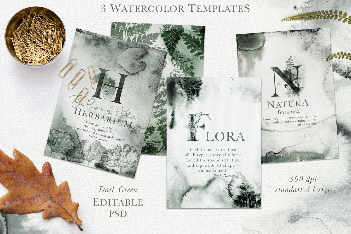 Herbarium: Design Set, a Graphic by Lumitar (Photo 4 of 14)