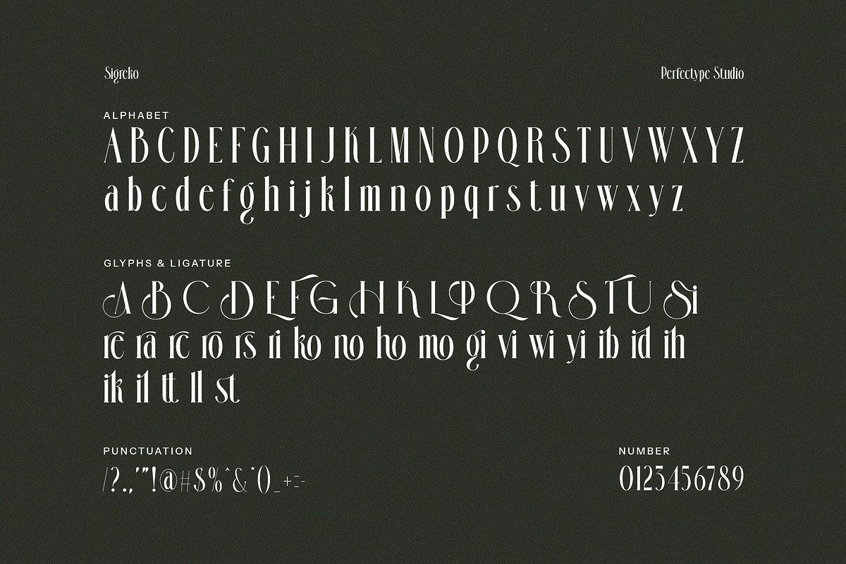 Sigreko Modern Serif Font, a Serif Font by Perfectype (Photo 8 of 8)