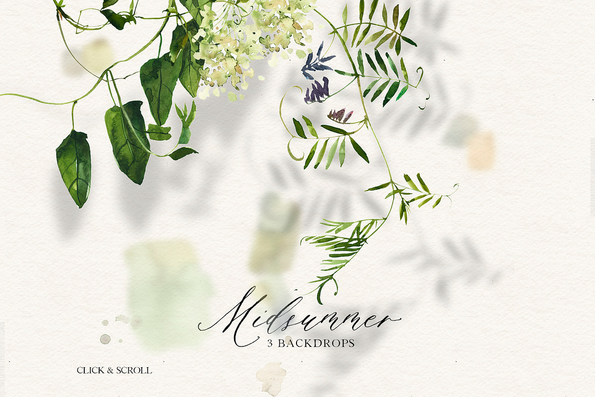 Midsummer - field flowers clipart, a Decorative Illustration by whiteheartdesign (Photo 2 of 16)