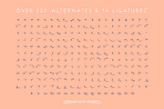 Nektarina Handwritten Font & Extras, a Font by Pencil Twist (Thumbnail 5 of 12)