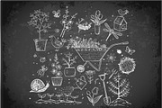 Garden sketches, an Illustration by Elina_Li (Thumbnail 7 of 15)