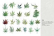 XL files - Watercolor Cannabis Set, an Object Graphic by Jeanina Vlad (Thumbnail 5 of 17)