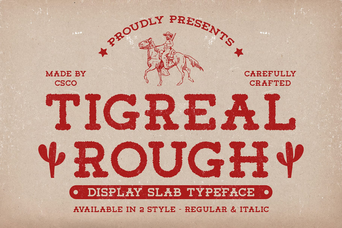Tigreal Rough, a Slab Serif Font by Craft Supply Co. (Photo 1 of 8)