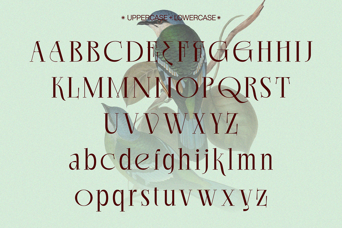 EKGIERO — Elegant Luxury Serif Font, a Serif Font by Enxyclo Studio (Photo 16 of 21)