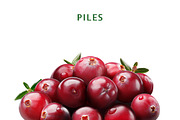 Cranberries—46 images, an Object Graphic by Hortimages (Thumbnail 6 of 8)
