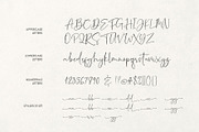 Costpretty Handwritten Font, a Script Font by moriztype (Thumbnail 10 of 11)