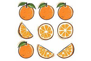 Handdrawn oranges illustration set, a Food Illustration by Vectorstockersland