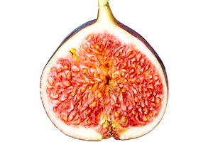 Fresh fig slice isolated on white, a Food & Drink Photo by BOOCYS