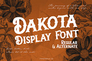 Dakota Font, a Font by edukka (Thumbnail 1 of 10)