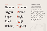 Emirates - Beautiful Curved Font, a Serif Font by Sensatype (Thumbnail 19 of 25)