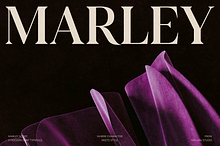 Marley Scoot – Modern Serif Typeface