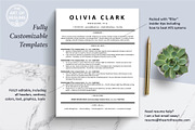 ATS Executive Resume CV Templates, a Resume Template by The Art of Resume (Thumbnail 3 of 8)