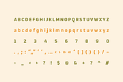 Shifti - Organic Display Typeface, a Handwritten Font by alpercakici (Thumbnail 17 of 17)