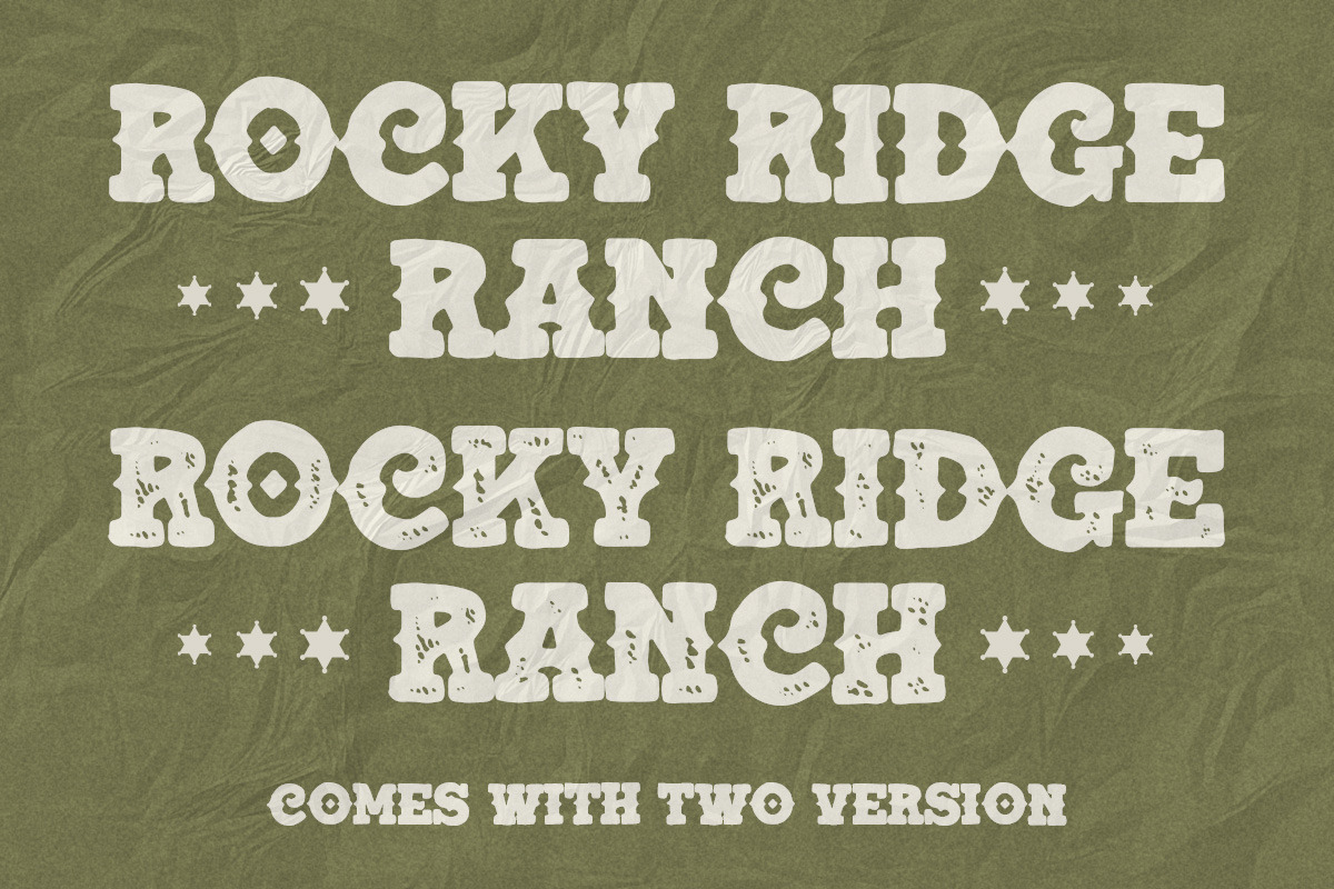 South Canyon, a Slab Serif Font by Rillatype (Photo 4 of 10)