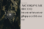Cerkiymo Elegant Typeface, a Sans Serif Font by Hishand Studio (Thumbnail 2 of 10)