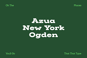Slaab Font Family 45 Styles, a Slab Serif Font by That That Creative (Thumbnail 13 of 13)