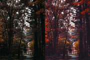 Fall - Autmun Photoshop Actions preview 5