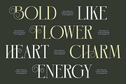 Hidden Midnight Modern Elegant Serif, a Serif Font by timelesstype.co (Thumbnail 2 of 10)