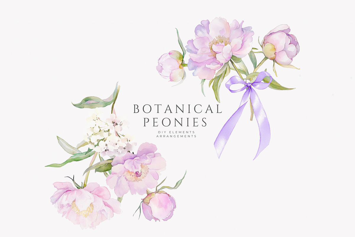 watercolor coquette pink peony set, a Decorative Illustration by Patishop Art (Photo 6 of 10)