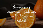 Vintage Paradise Retro Script Font, a Handwritten Font by UICreative (Thumbnail 7 of 13)