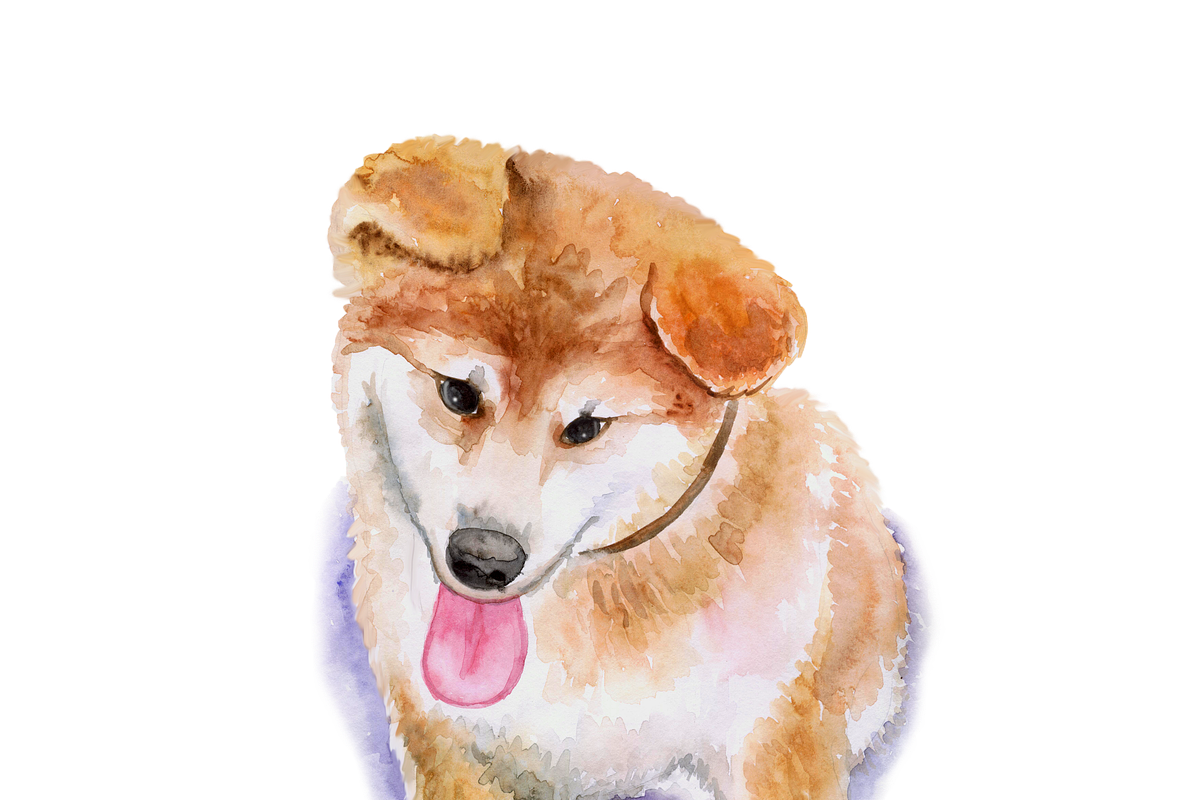 Watercolor Dogs Mega Big Bundle, an Illustration by Dneprstock (Photo 60 of 60)