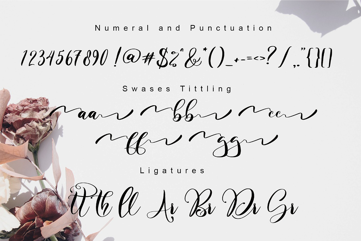 Hello Martha // Elegant Script Font, a Script Font by Aldedesign (Photo 10 of 12)