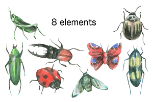 Insects Watercolor Clip Art