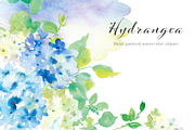 Hydrangea watercolor clipart set, an Illustration by Sawango Designs (Thumbnail 2 of 4)