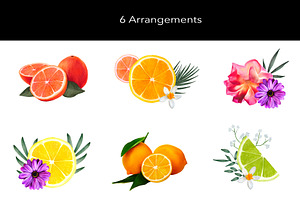 Citrus Watercolor Graphics Set