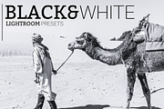 Black&White - Lightroom Presets, a Plug-in Add-On by ELITE ARTISTS (Thumbnail 1 of 7)
