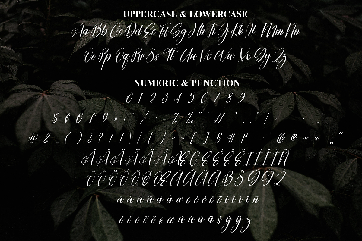 Aesthetic | Script Font, a Handwritten Font by Scratchones (Photo 7 of 9)