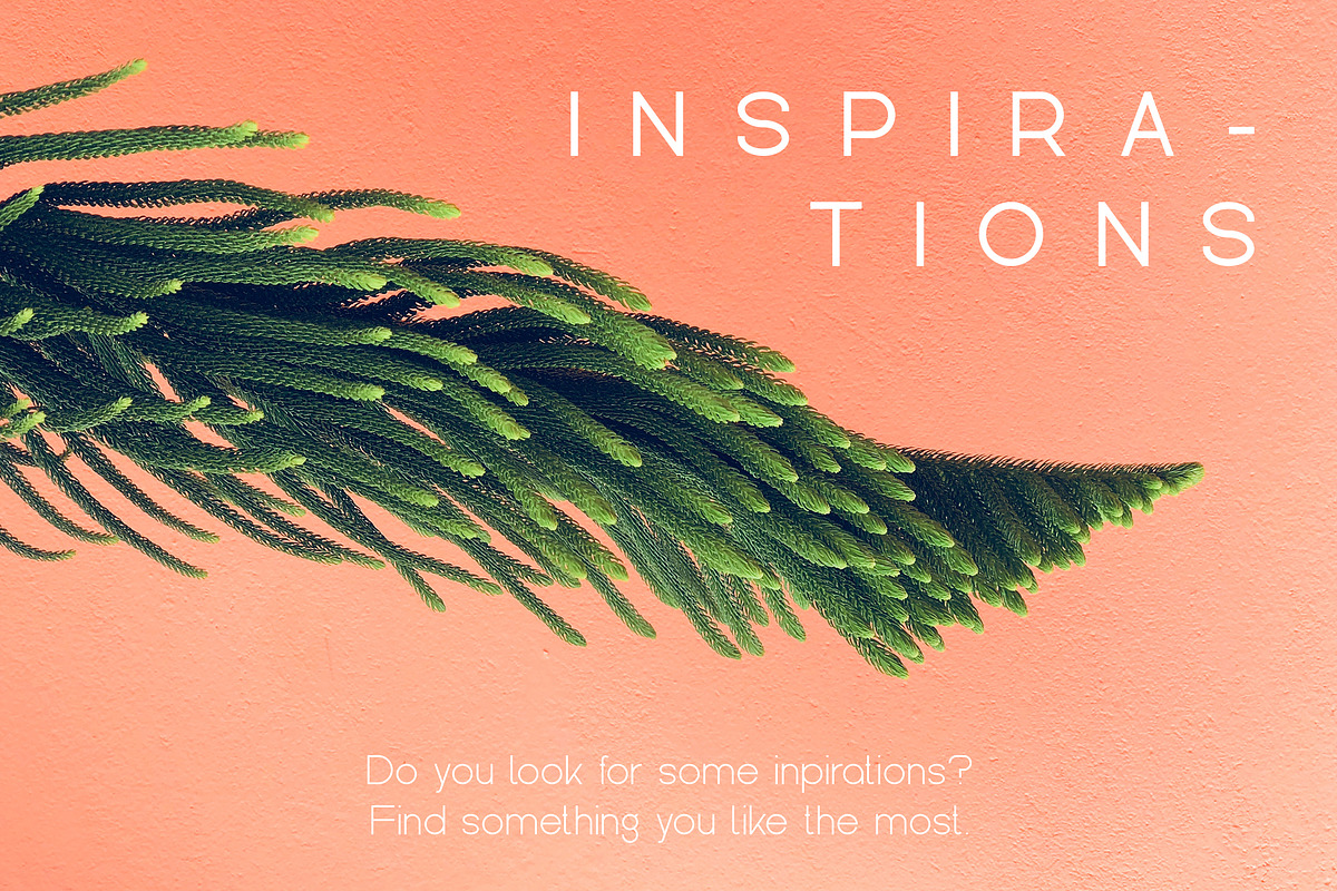 Kindel - Completed Collection, a Serif Font by VP Fonts (Photo 38 of 44)