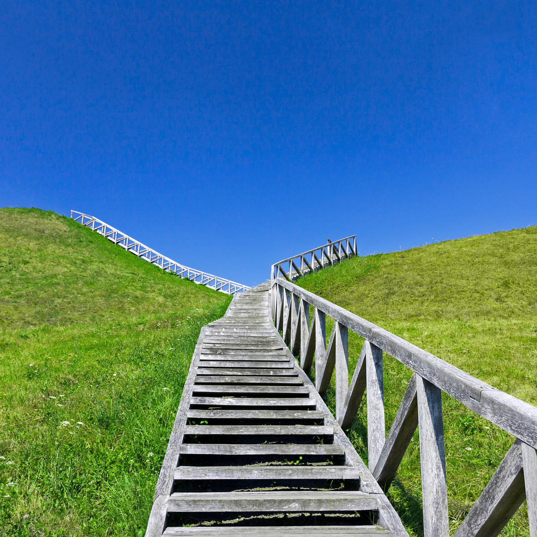 Wooden steps, a Nature Photo by BOOCYS