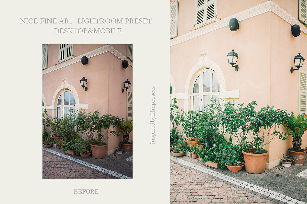 Nice Fine Art  Lightroom Preset, an Action Add-On by InspiredbyfilmPresets (Photo 3 of 7)