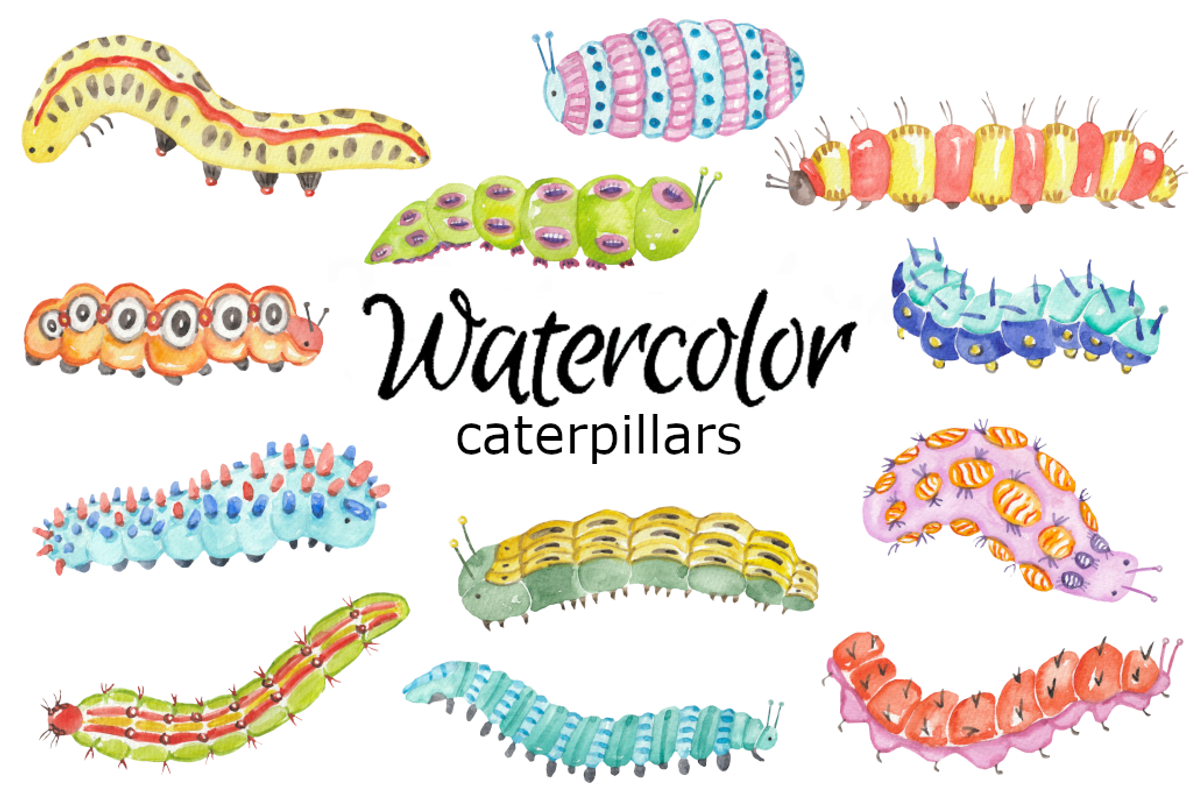 Caterpillars watercolor clipart, a Background Graphic by GoodFairyClipArt (Photo 1 of 2)