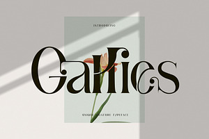 Gallies Ligature Serif Typeface