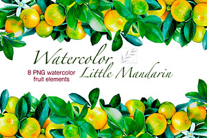 Watercolour little mandarins