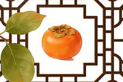 All Fruits Bundle Master Collection, a Food & Drink Photo by FlyeredTemplate (Thumbnail 9 of 130)
