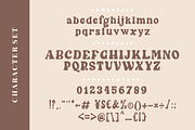 Wintter Modern Chic Serif, a Serif Font by Creatype Studio (Thumbnail 9 of 9)