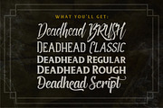 Deadhead Typeface Family, a Serif Font by Twicolabs Fontdation (Thumbnail 5 of 5)